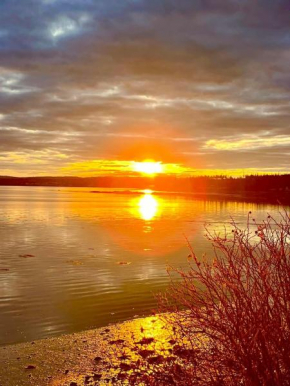 Edgewater sunrise apartment